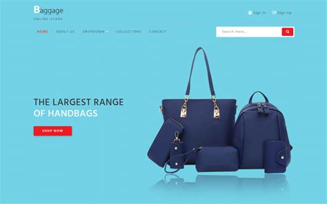 online bag store